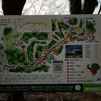 舗装路を通らずに、公園内を富士見の湯までショートカットできそうです。