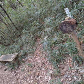 道帰り山(どうがえりやま)
元は堂が入り山だが正式山名立岩山
ここも山の名前在り過ぎ
ここが鹿田山丘陵の最高点235m
ここも砦があった場所