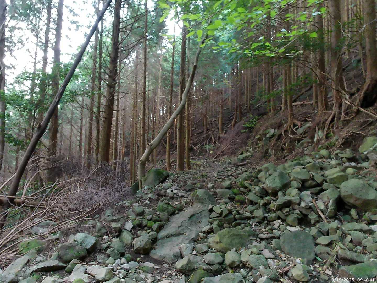 北側斜面に入ると一気に冷風〜♫
汗冷えで鳥肌立ちって気持ち良いー😙
でももう腰へのズキズキ… 完全歩きモード😔