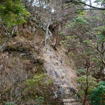 さて、南側の三峰にGO！🏃‍♀️

鎖場⛓。もうナチュラルハイ眼鏡な状態なのでばっちこーい！😆笑