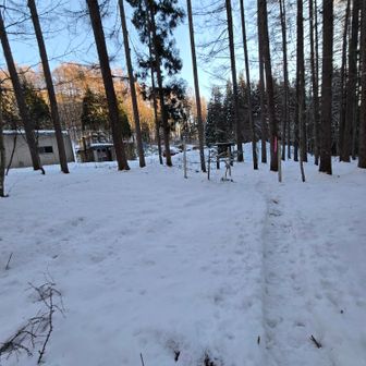 駐車場が見えてきました