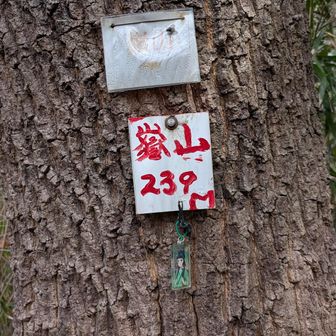 獄山登頂。
途中、道はハッキリしないし、藪漕ぎも大変でした。藪を越えてからはマシでしたが。
登ってきた道（らしきもの）を下りられるか、めっちゃ不安😨