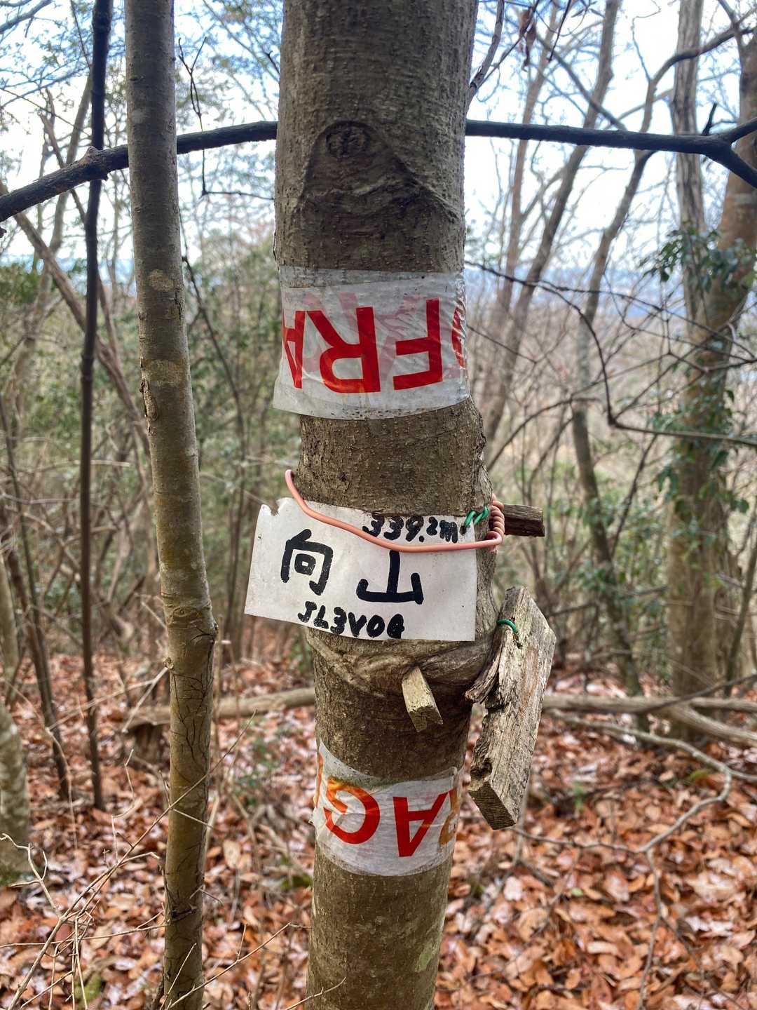 向山⛰到着✨
三角点🔺ありますが展望はありません😓