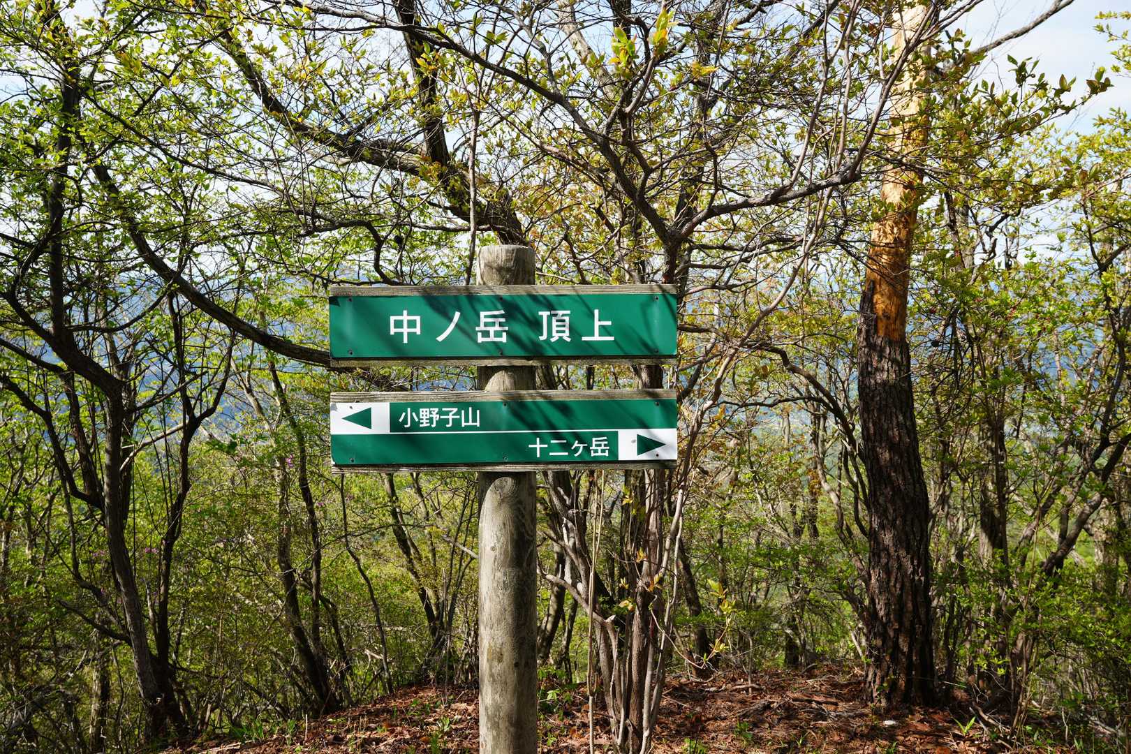 雨乞山-小野子山-中ノ岳-十二ヶ岳 往復コースの写真
