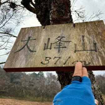 大峰山に登頂❗️

「大峰山」というのは、大野木山の別名でもあるようだが、２つのピークの片方をそう呼んでいるようでもある。