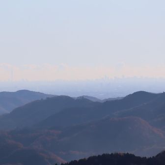 遠くに都心、画面左側にはスカイツリーも