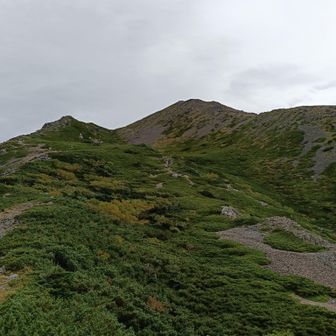 振り返って上河内岳