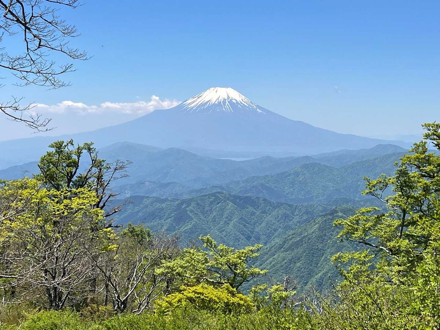 美しい