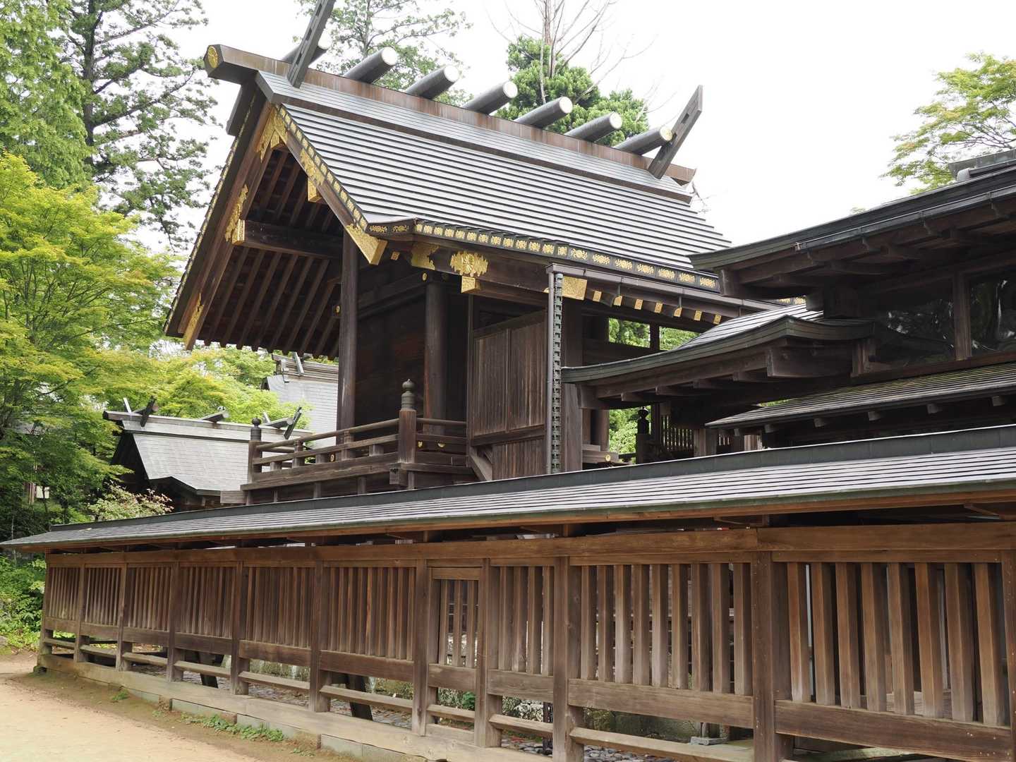御岳山駅-御嶽神社-御岳山-鍋割山-芥場峠 周回コースの写真