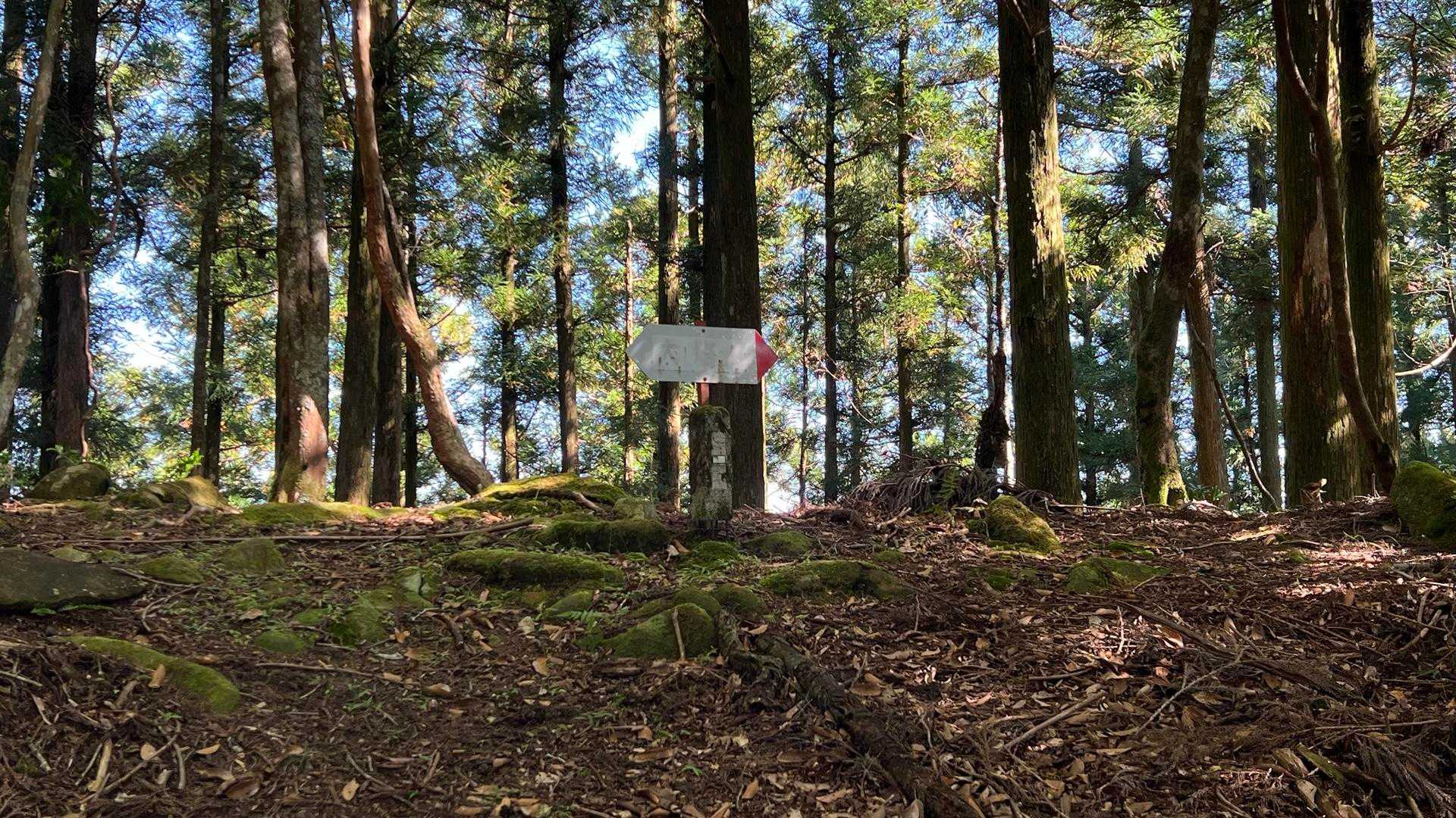 別の登山口"大塔山取り付き"からのルートとの合流点