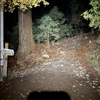 そのまままっすぐ進むと登山口が出てくる