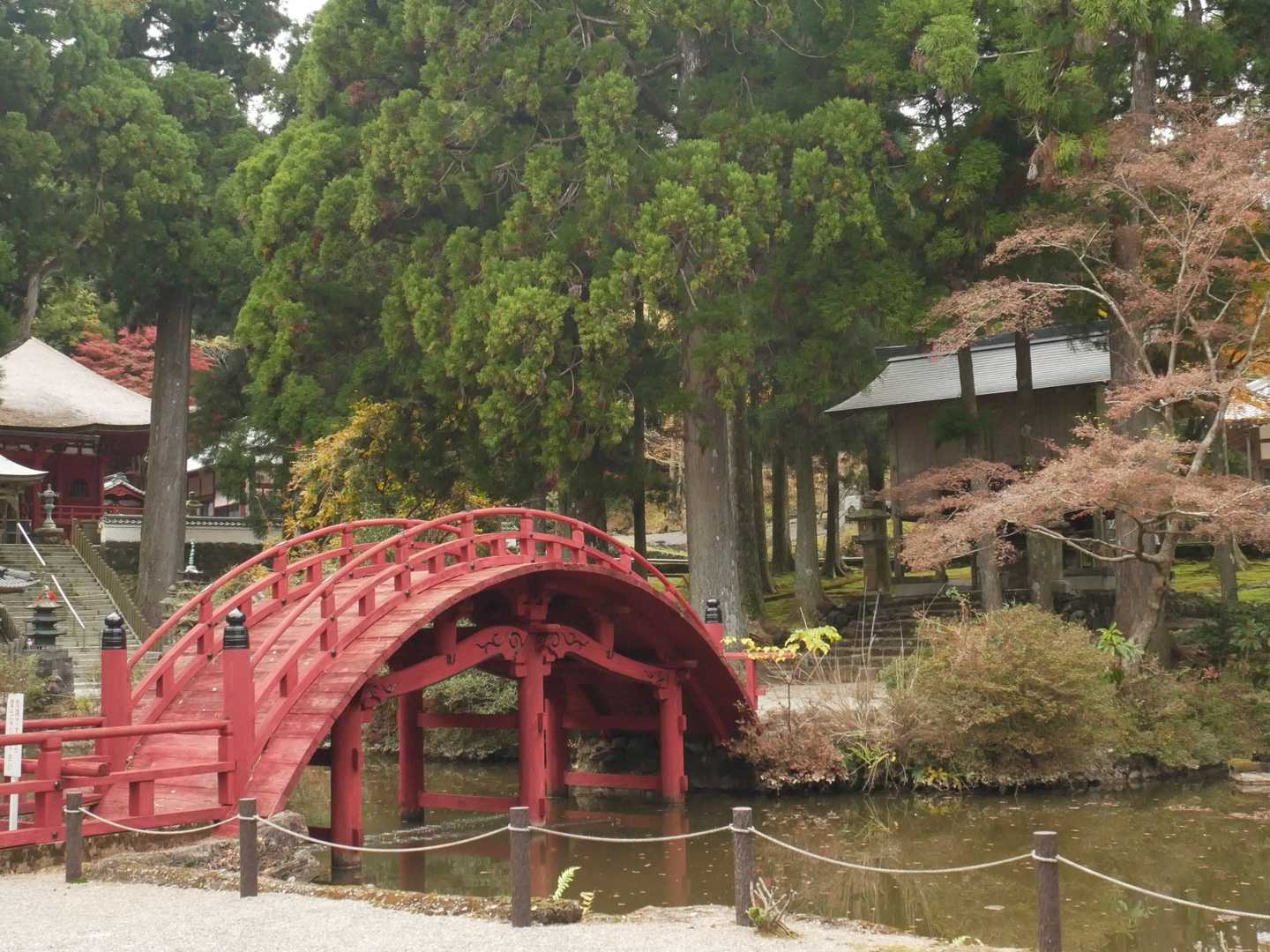 イメージじゃないけど