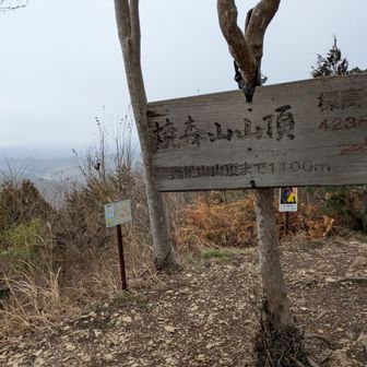 焼森山山頂
雨天後で、眺望は☓
✦☀の早朝には、那須
連山（日光連山）が良く
見えます。