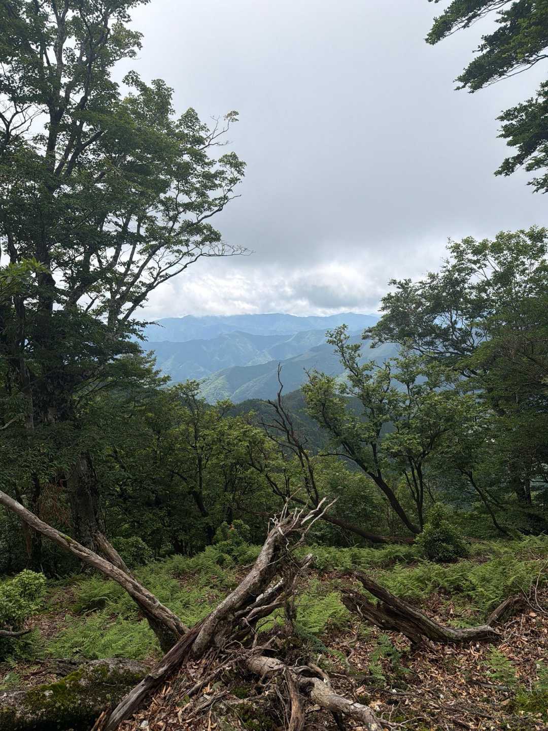 山々⛰️がちらっと見える👀
