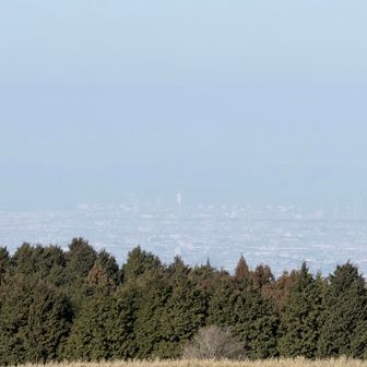 遠くに堺あたりのコンビナートが見える