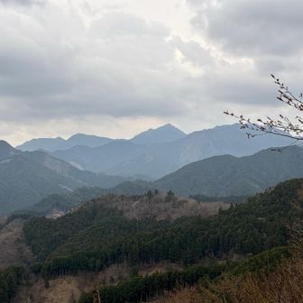 トンガリ局さん