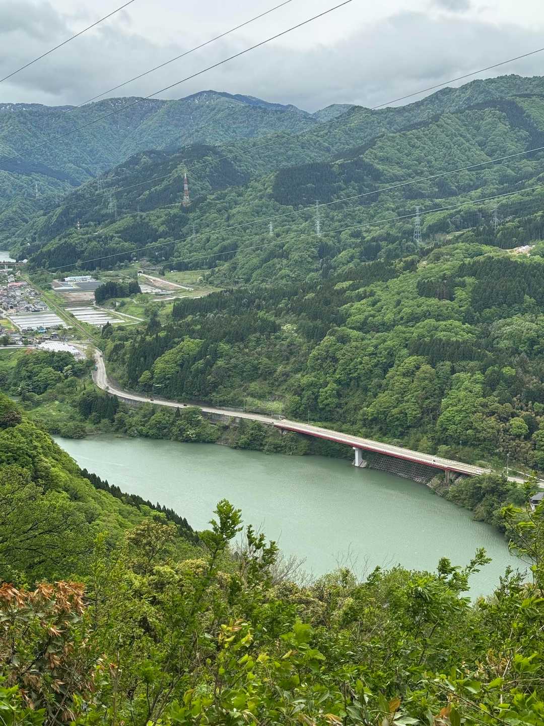 41号線と神通川