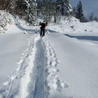トレース有り✨