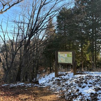 高水山山頂は特に何も無いけど、日当たり良いベンチはお弁当スポット