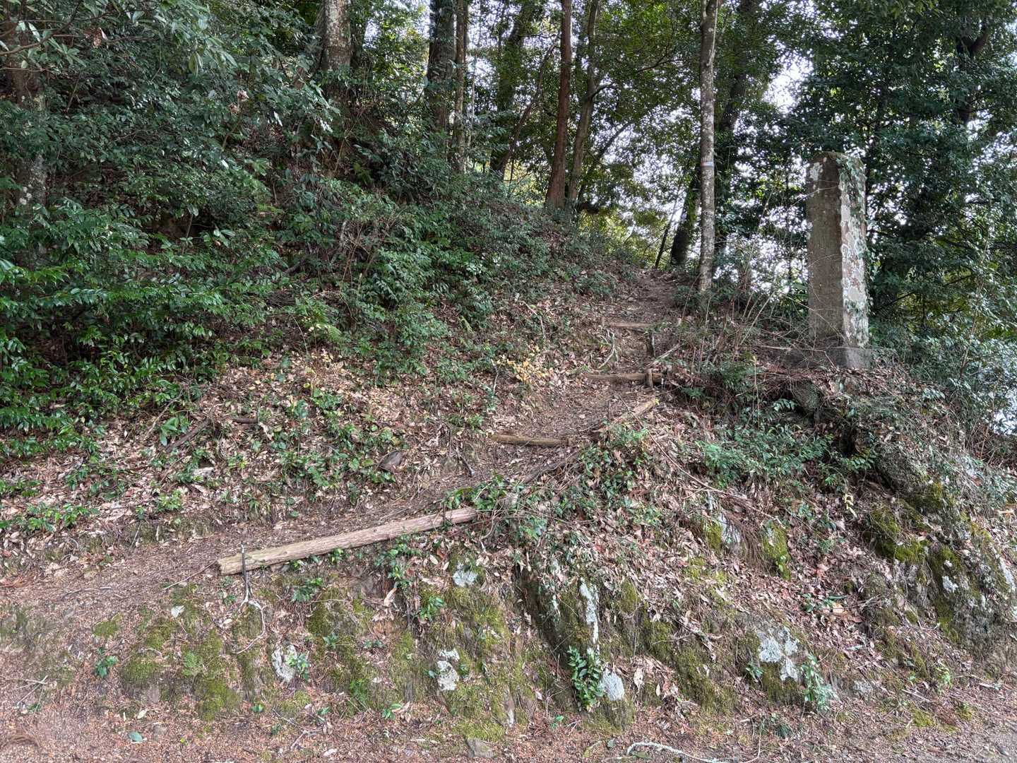 お疲れ山でした