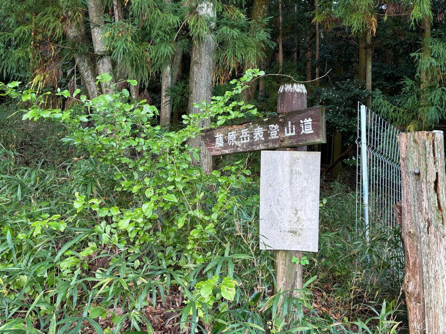 藤原岳登山口-藤原岳-天狗岩-聖宝寺 周回コースの写真