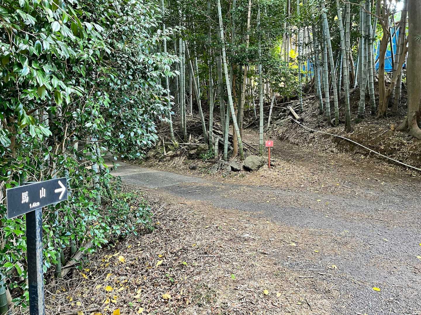 ここに出て右に行ってしまう