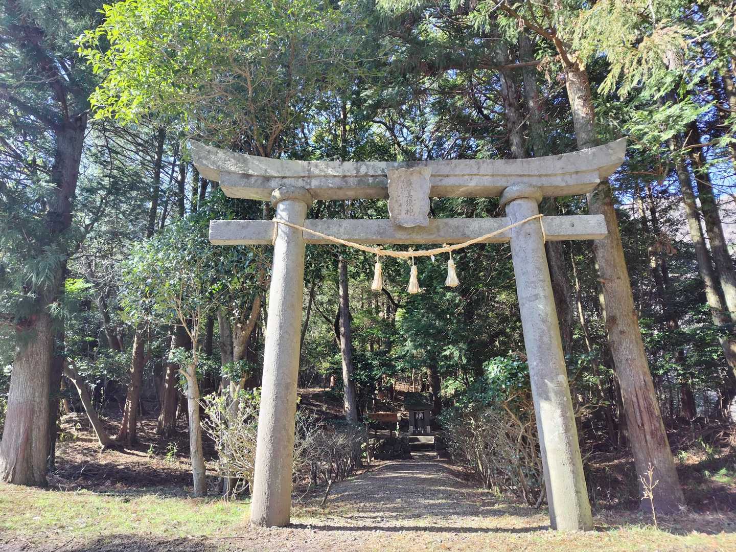 恵美須神社に参拝させていただきました