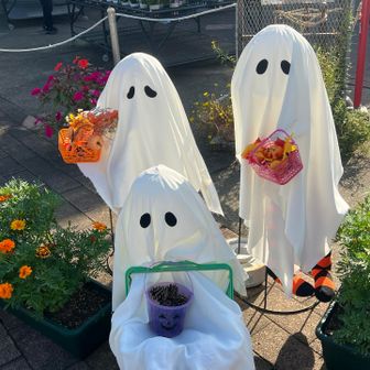 👻