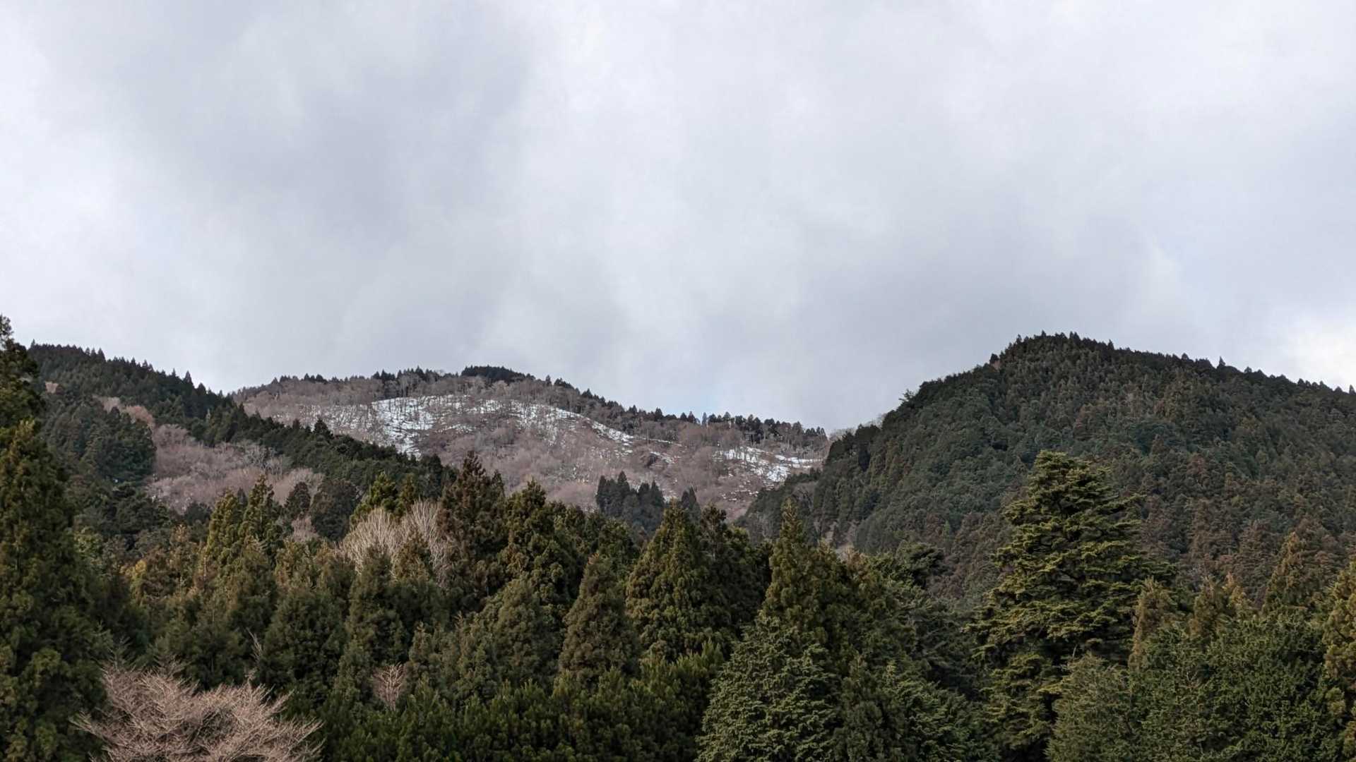 皆子山方向の山