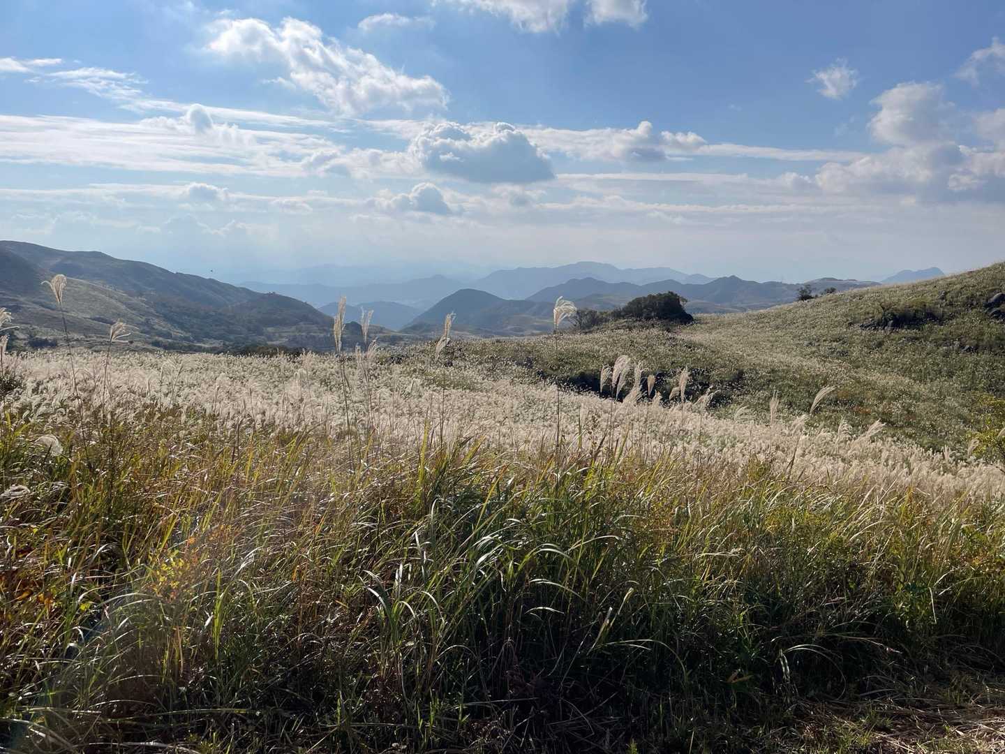ススキの大地素敵ですねー
徐々に晴れてきて、光に当たってキラキラ✨