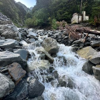 この水量は怖いですね。この1週間Xでずっと様子を見ていました