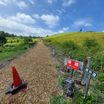 遊歩道の入口。山を時計回りに歩く感じ。道はもともと黒土のようだが、ウッドチップが敷いてあって歩きやすい。