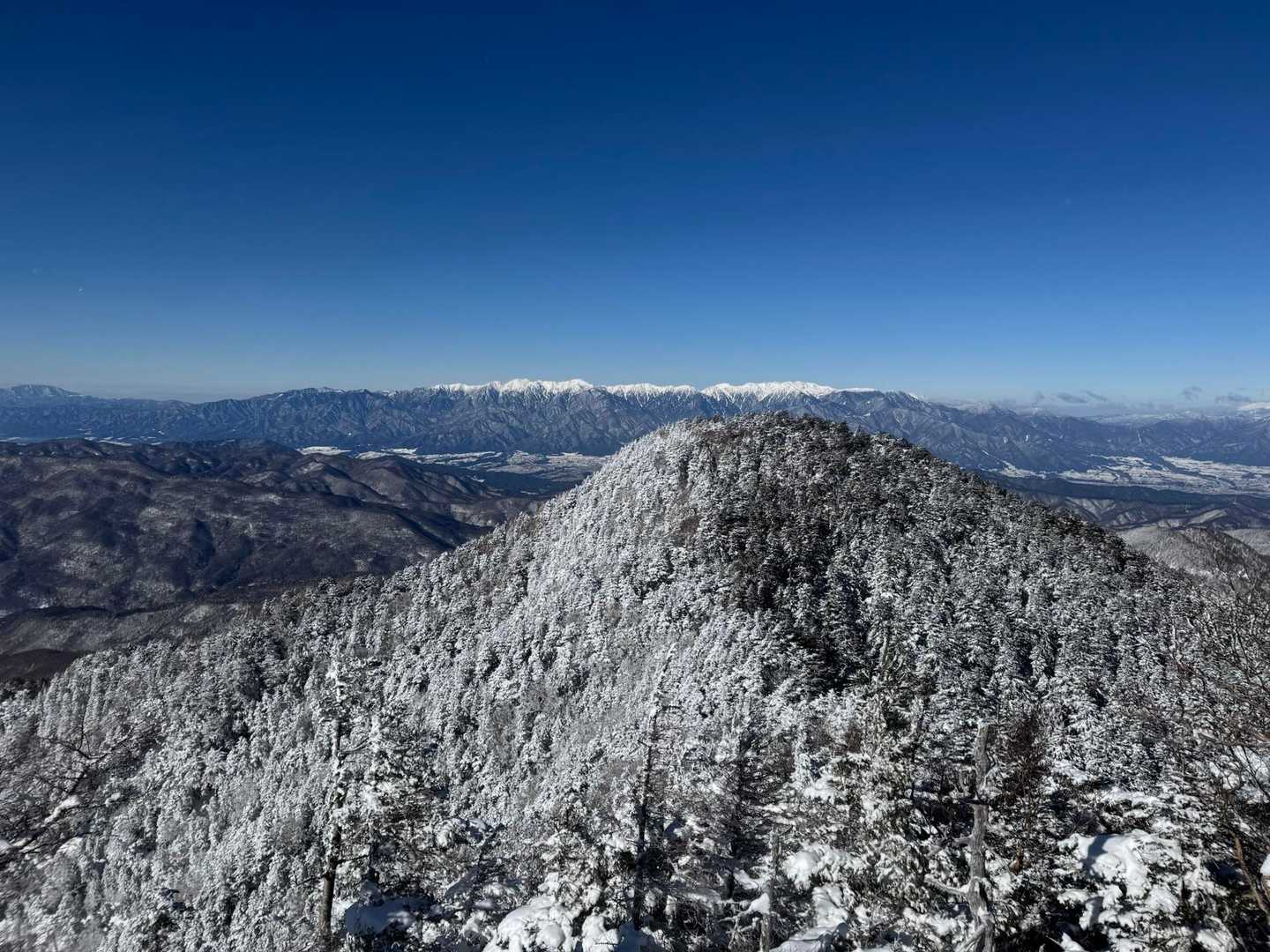 頑張って進むと念願の景色がお目見え😍