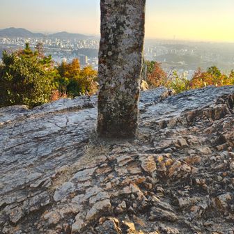 山頂南にそびえ立ってるのは…