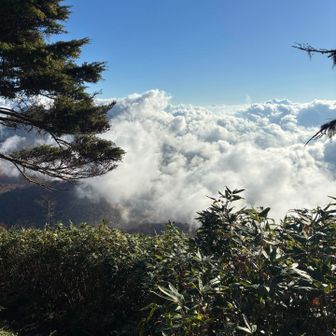 雲が