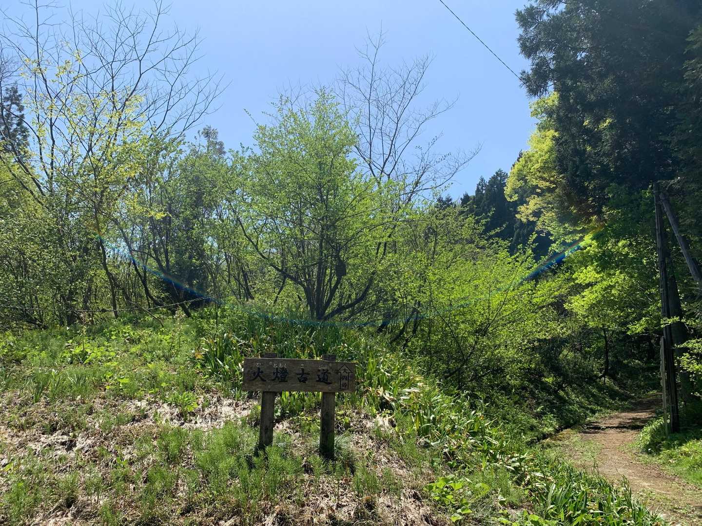 今年はお山の景色が20日ほど早い感じです。