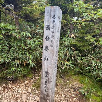 西吾妻山山頂