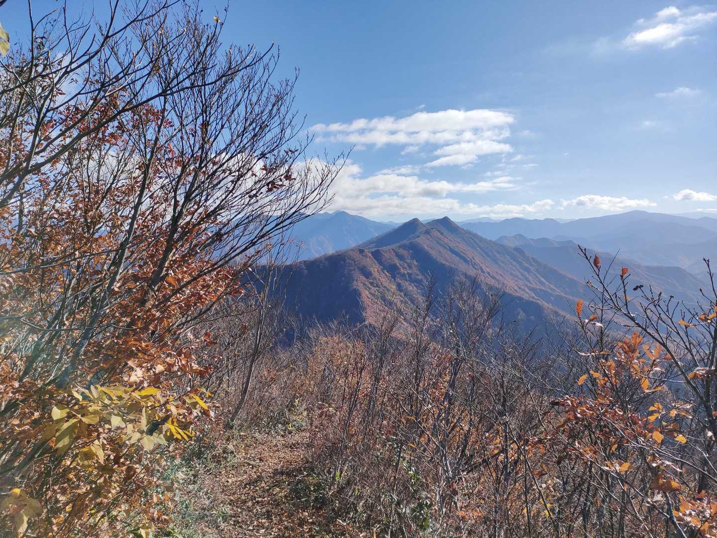 あそこが唐松山ね😳