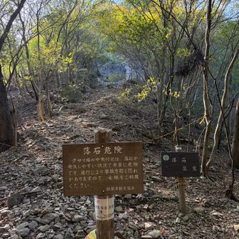 男坂を進みます。