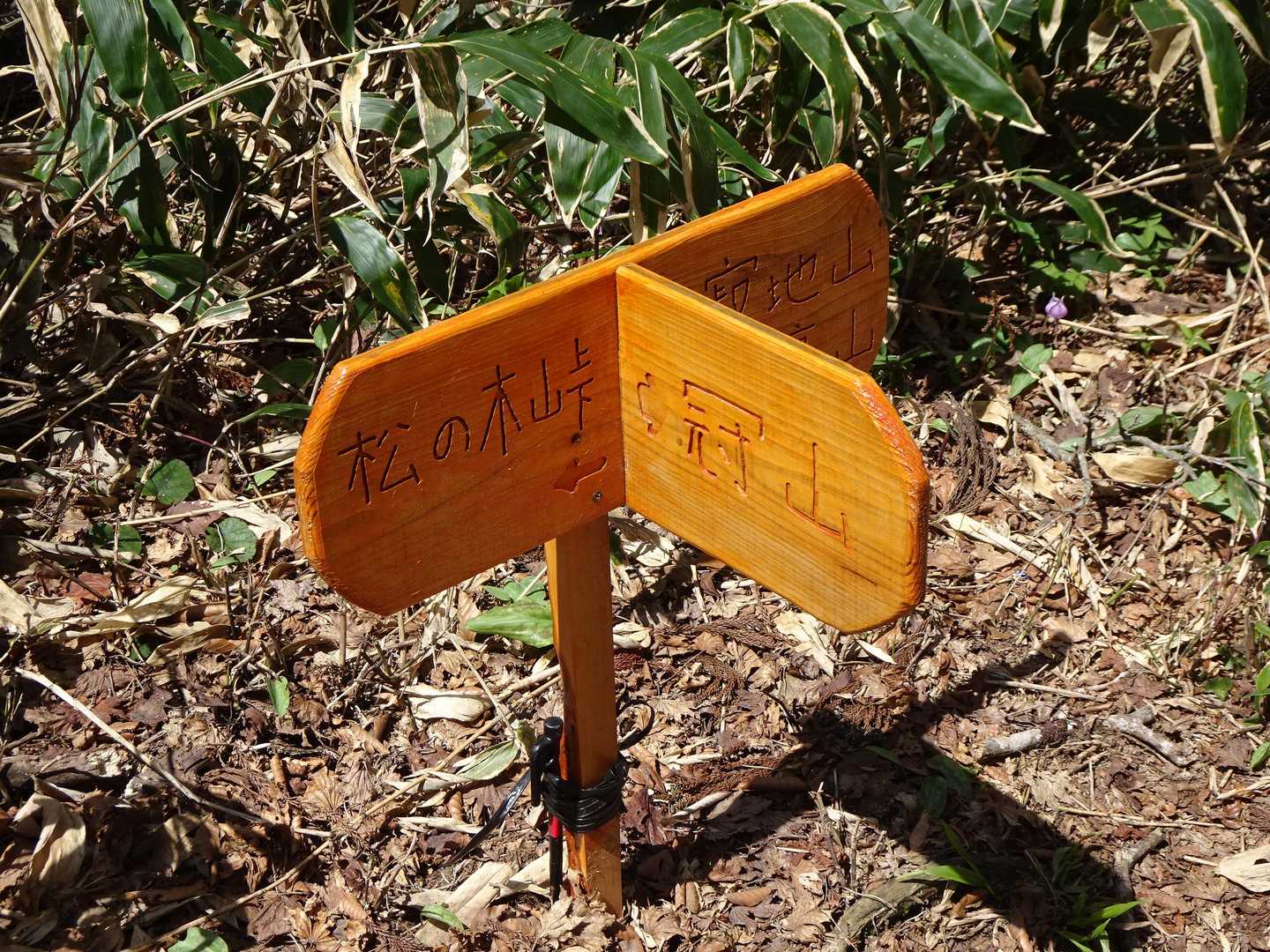 この分岐標識は新しそうですね
