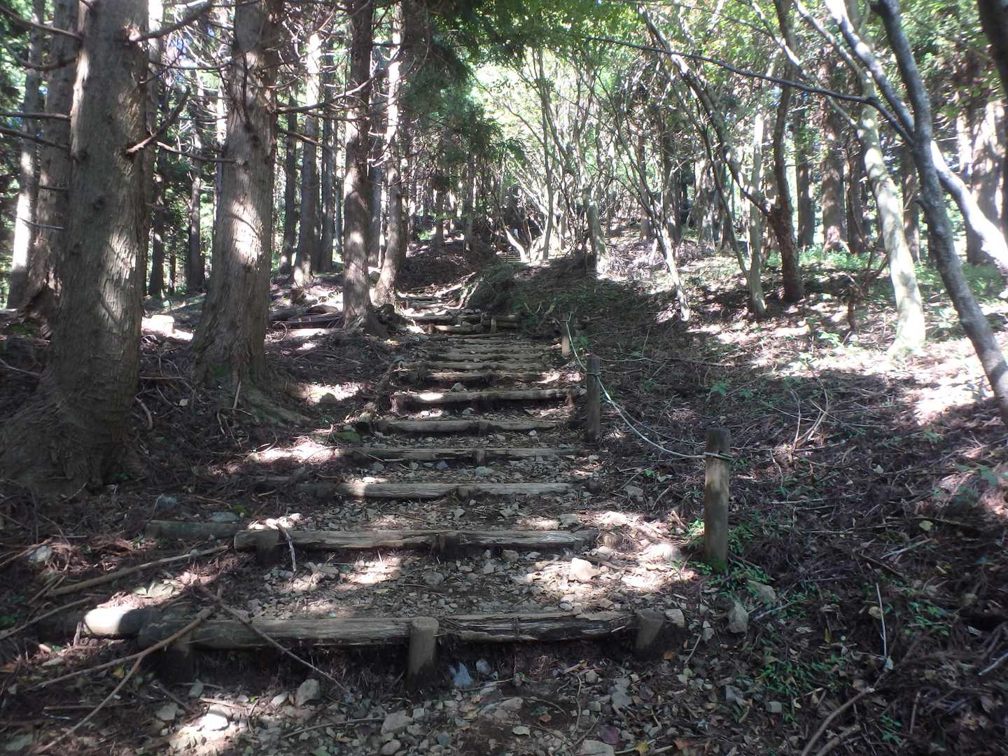 登山道はこんな感じ
整備されているが地味〜に足腰にくる