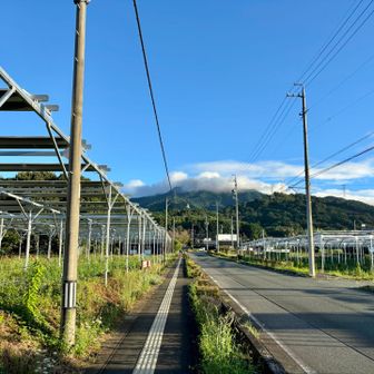 山頂は雲の中かなー︎︎︎︎☁

でもこの麓から登る感、好き
