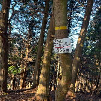 三子山は実は何峰もあってピーク数を稼げます🤗