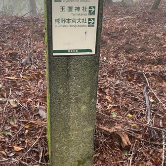 道標の下にでっかい🐸さん
そして無事下山しました、お天気心配だったけど大雨にならずの山行でマイナスイオンたっぷり浴びてきました✌️✨
山神様と妹thank you٩(๑❛ᴗ❛๑)۶