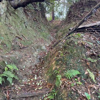 鋪道(車道)、登山道を交互に繰り返し歩くが
鋪道歩きがかなり多いので篠栗駅から若杉山
への山行はあまり面白くありません。