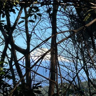 あ‼️富士山見えた🗻