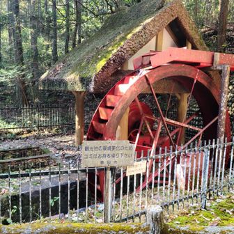 トロミル水車  元気に回ってました❗