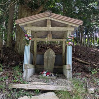 お疲れ山🙏