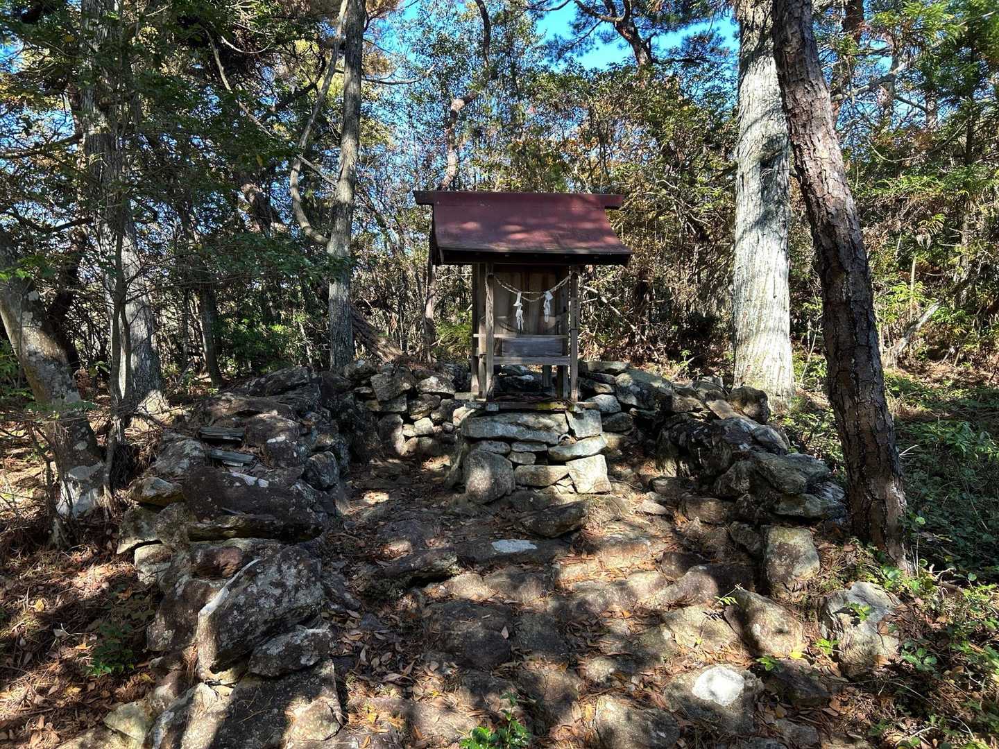初めて行きました