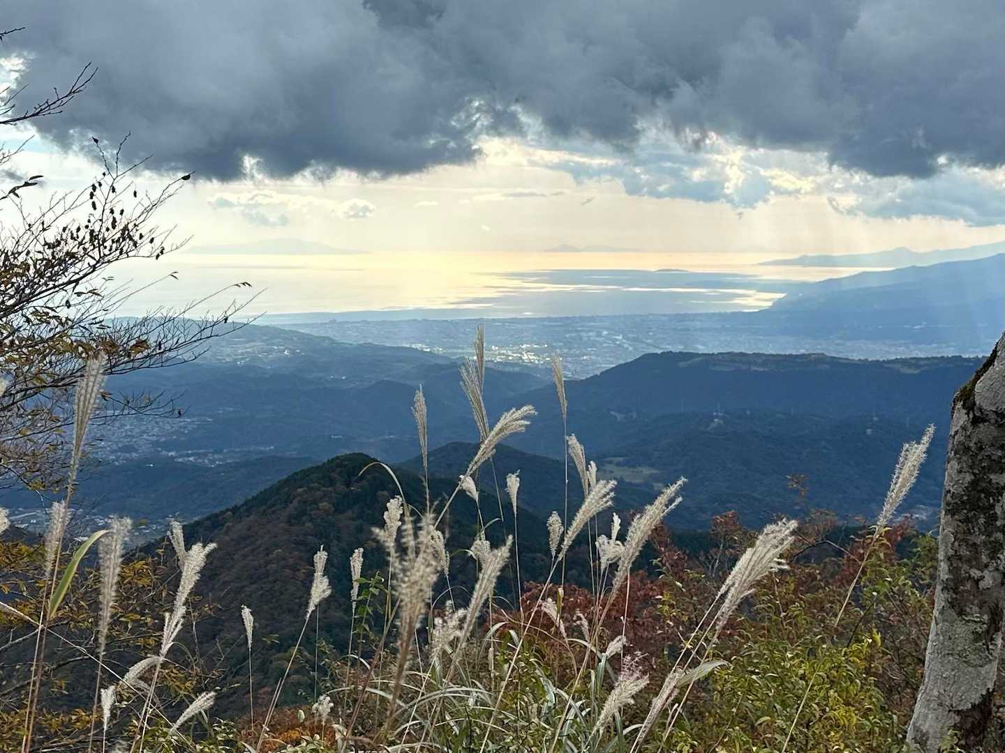 振り返ると光る相模湾✨
大島や利島、伊豆半島も見えました